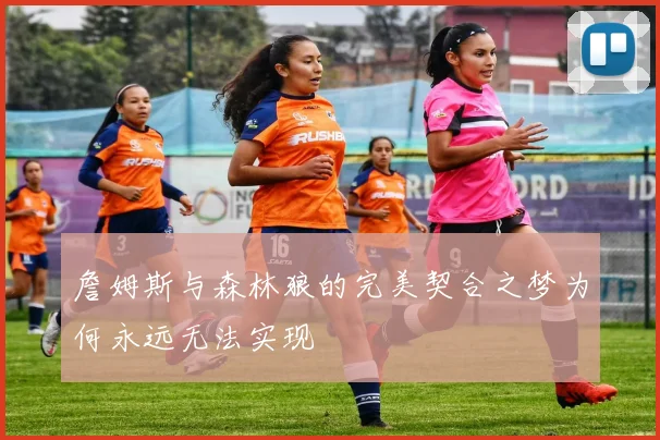 詹姆斯与森林狼的完美契合之梦为何永远无法实现