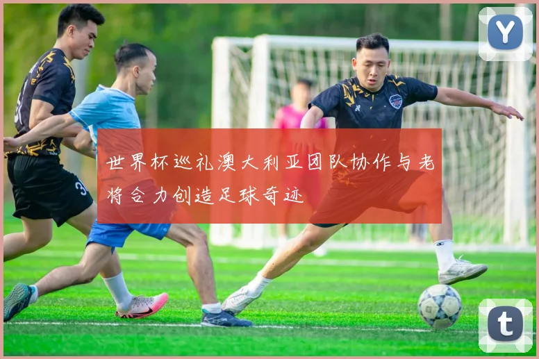 世界杯巡礼澳大利亚团队协作与老将合力创造足球奇迹