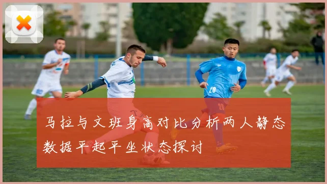 马拉与文班身高对比分析两人静态数据平起平坐状态探讨