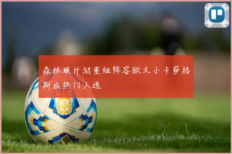 森林狼计划重组阵容欧文小卡萨格斯成热门人选